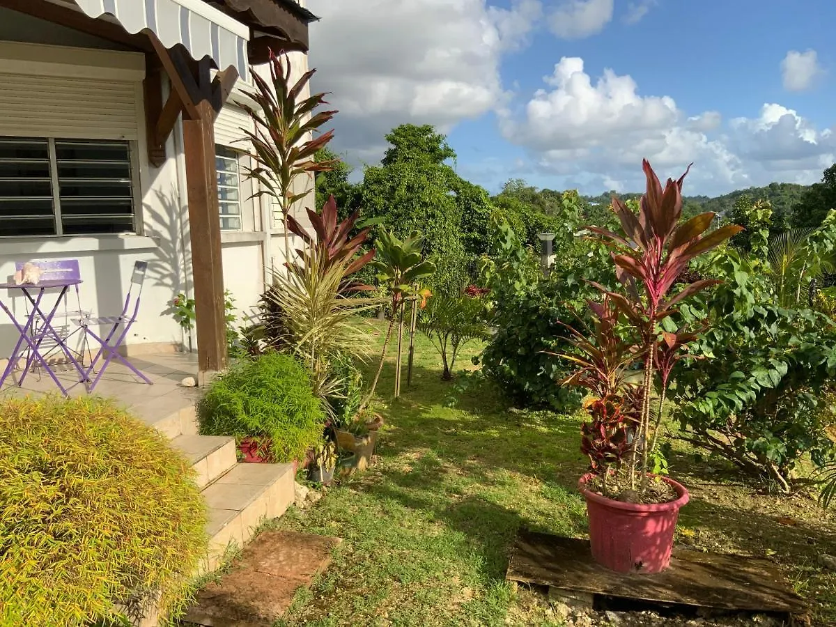 Villa L'Exotik Les Abymes 0*,